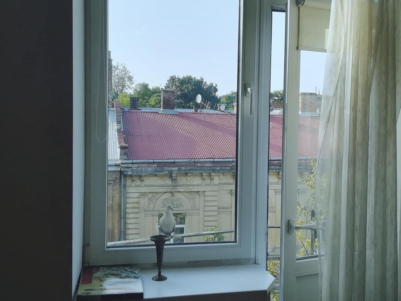 Valentine Apartment 리비프 외부 사진